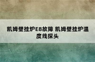 凯姆壁挂炉E8故障 凯姆壁挂炉温度线探头